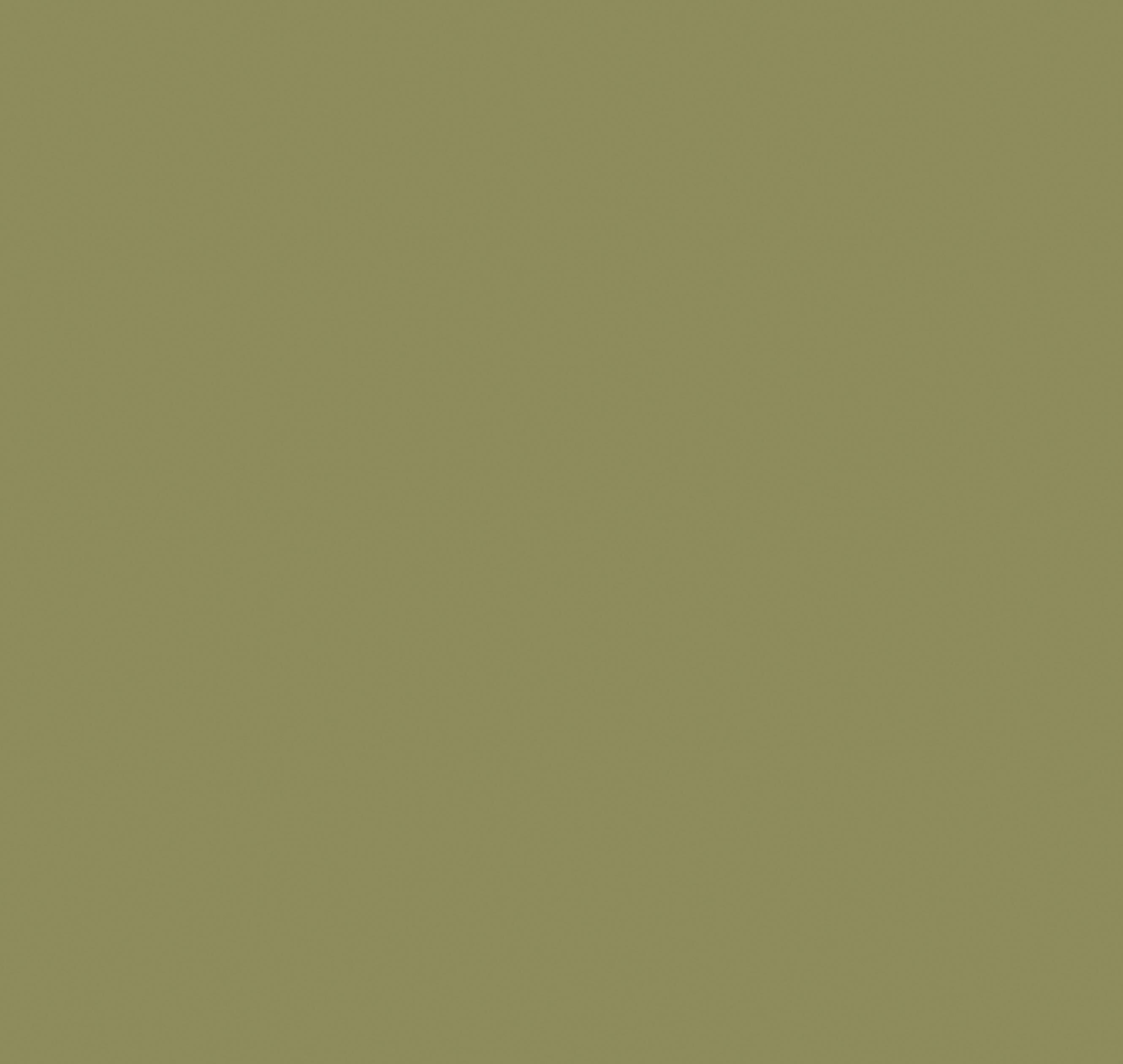 Обои Milassa Ambient vol.4 Plain Папоротник AM4 105/3 10,05×1